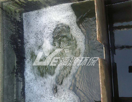 涂料化工廢水處理的生物法有哪些？