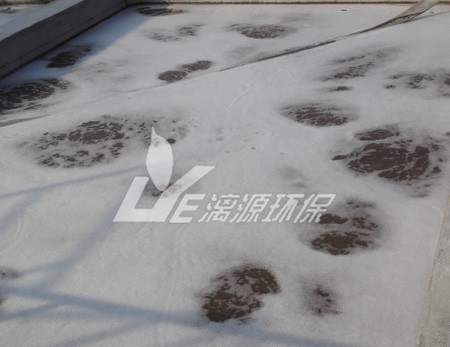 工業(yè)污水處理現(xiàn)代的處理技術(shù)有哪些？