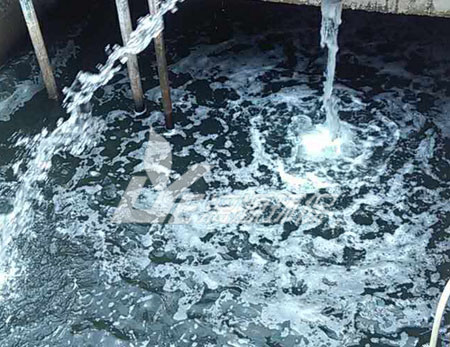 松香廢水處理技術(shù)，可以快速達(dá)標(biāo)